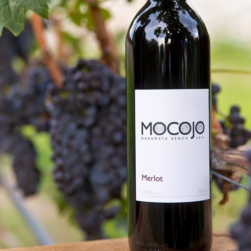 Mocojo Merlot